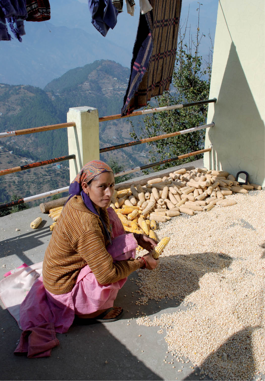 Food safety at the heart of food system transformation
